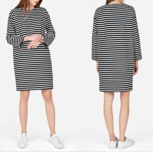 Everlane Sz S Shift Dress Striped Blue White